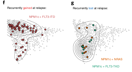 Figure 3fg