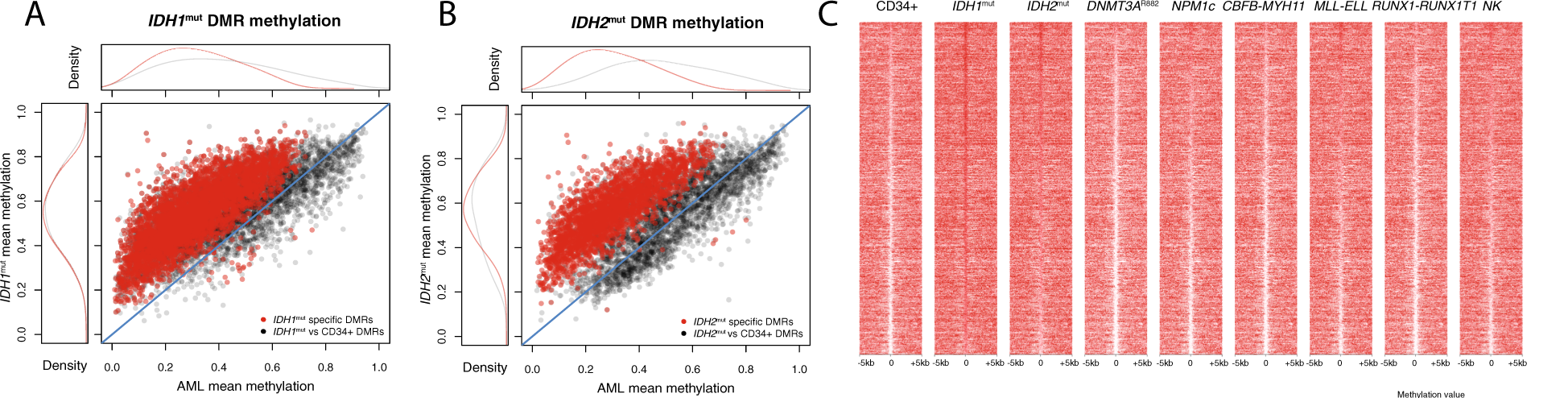 DMR_IDH1