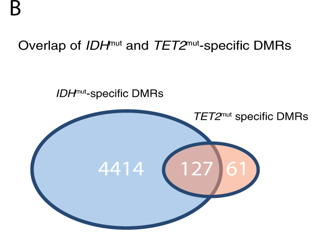 TET 2