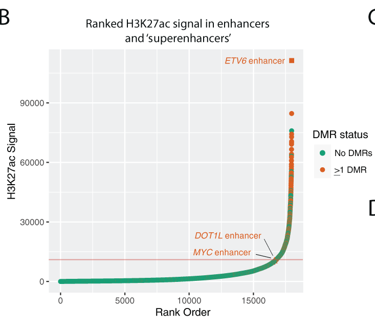 Gene exp 2