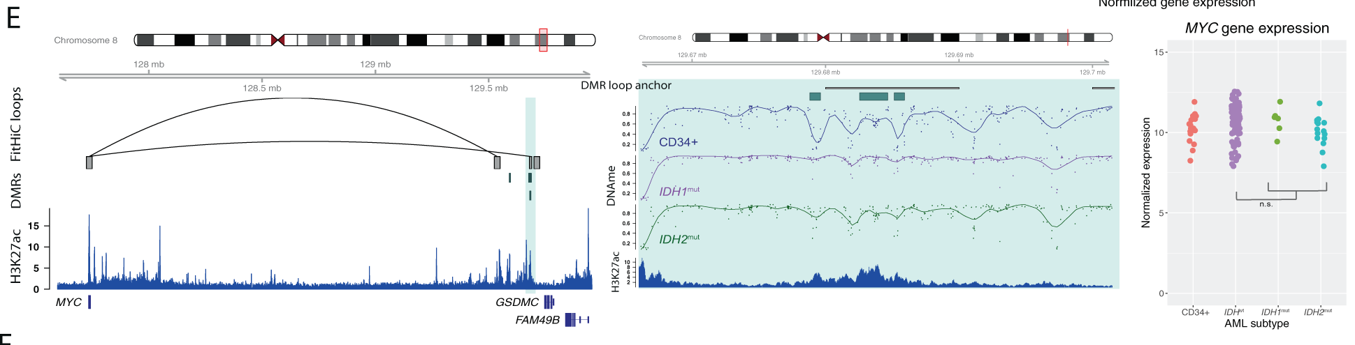 Gene exp 5