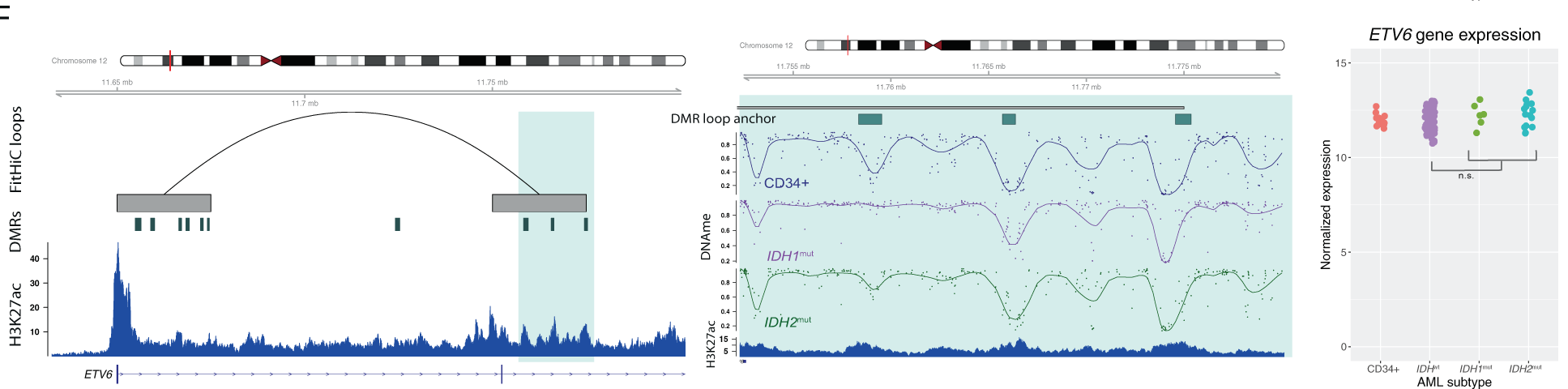 Gene exp 6